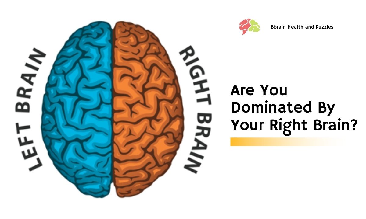 Are You Dominated By Your Right Brain