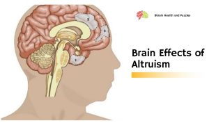 Brain Effects of Altruism