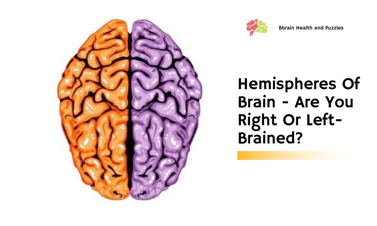 Hemispheres Of Brain - Are You Right Or Left-Brained