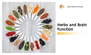 Herbs and Brain Function
