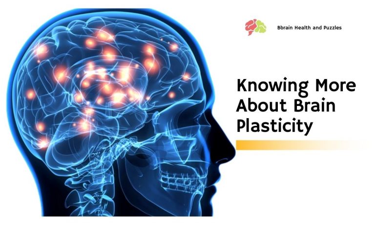 The Benefits Of Brain Plasticity Are Most Clearly Demonstrated In Knowing More About Brain Plasticity | Brain Health and Puzzles