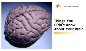 Top 6 Bizarre Things You Didn't Know About Your Brain
