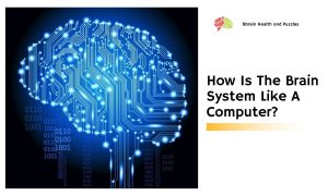 How Is The Brain System Like A Computer?