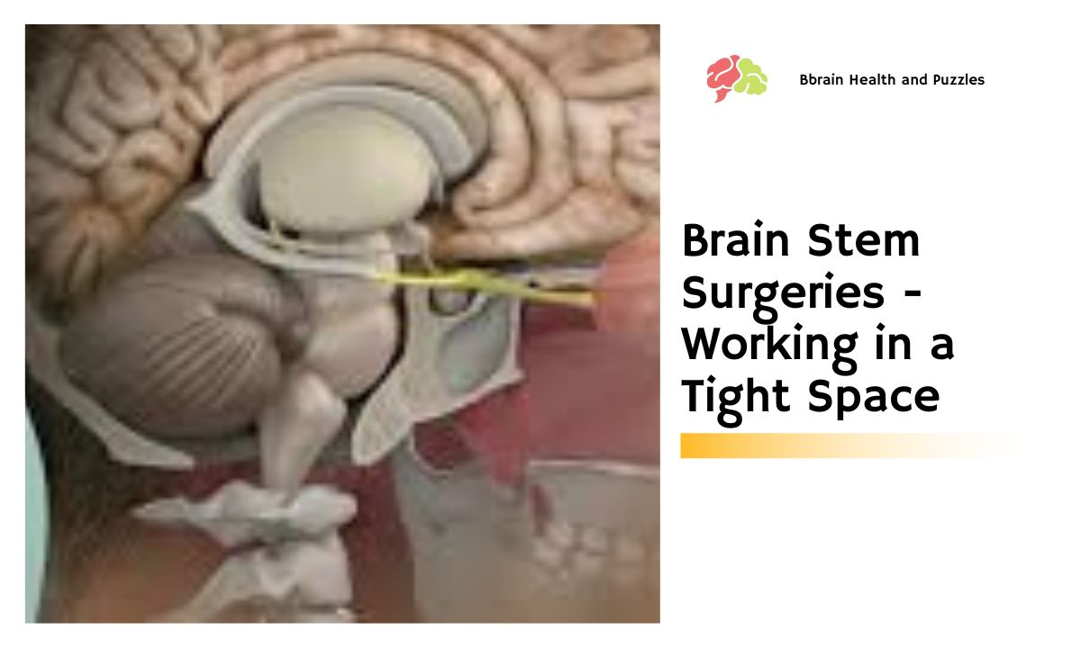 Brain Stem Surgeries – Working in a Tight Space