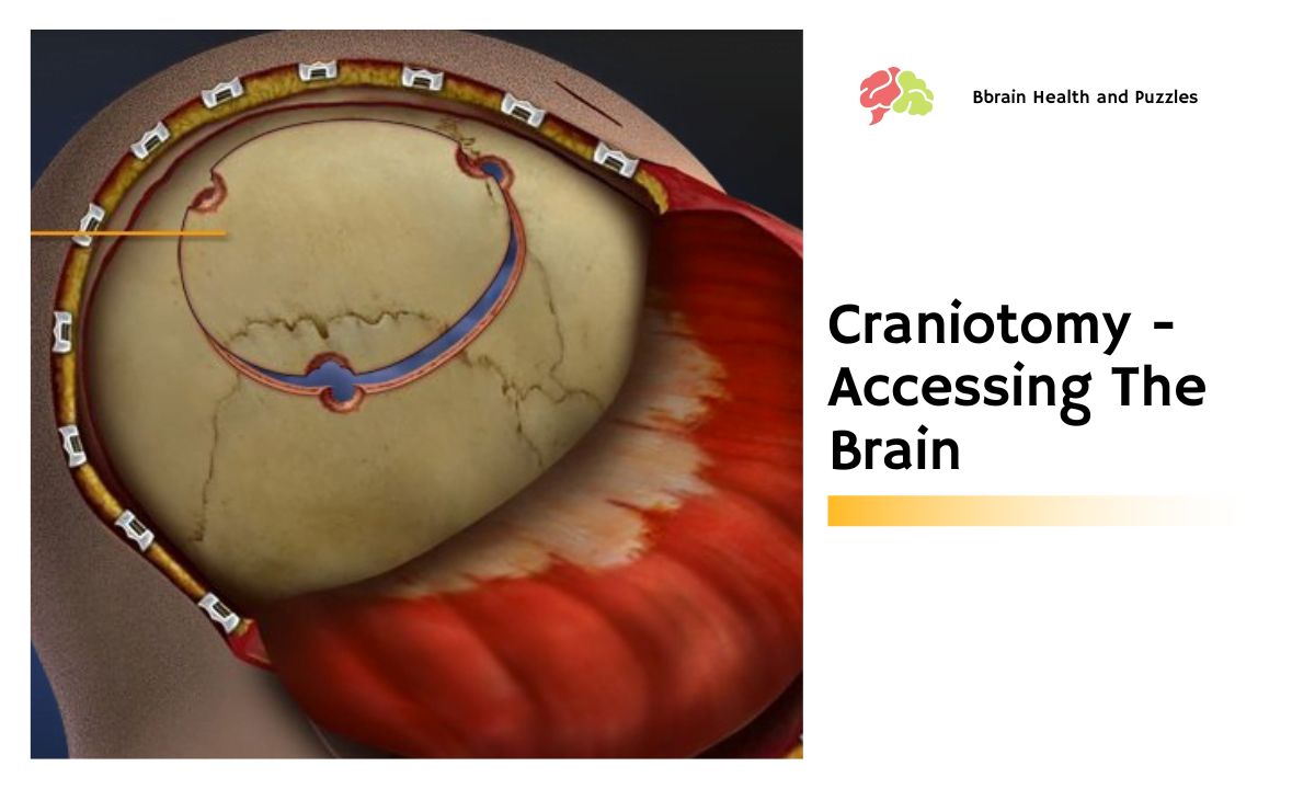 Craniotomy – Accessing The Brain