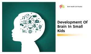 Development Of Brain In Small Kids