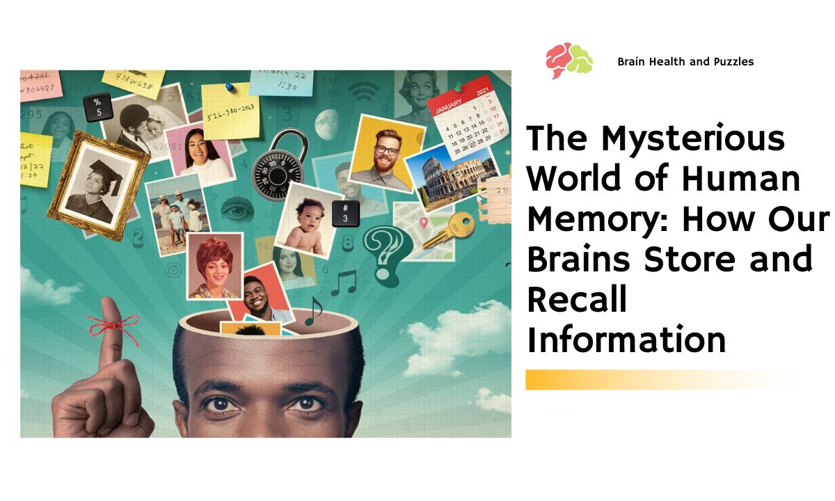 The Mysterious World of Human Memory How Our Brains Store and Recall Information