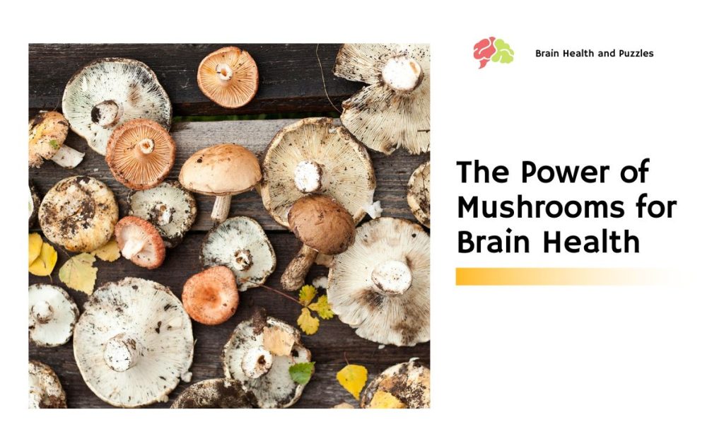 The Power of Mushrooms for Brain Health