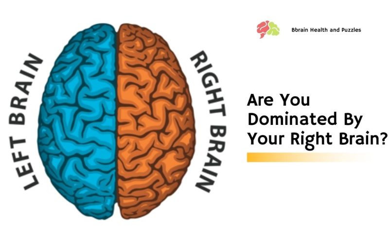 Are You Dominated By Your Right Brain?