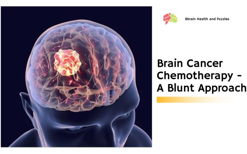 Brain Cancer Chemotherapy – A Blunt Approach