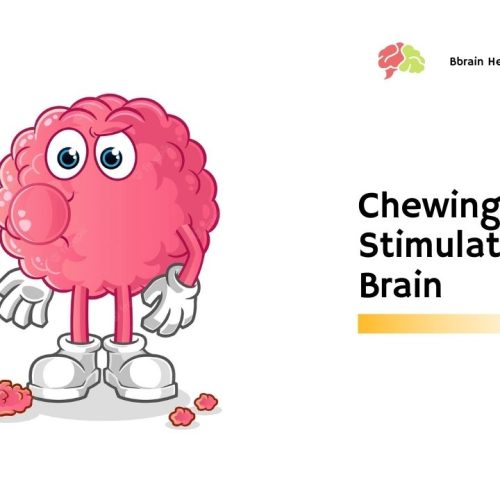 Chewing Gum Stimulates the Brain