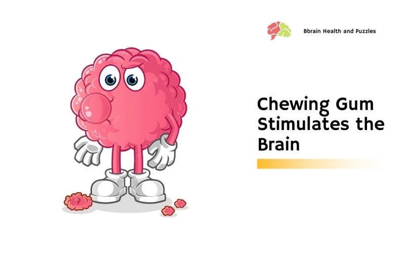 Chewing Gum Stimulates the Brain