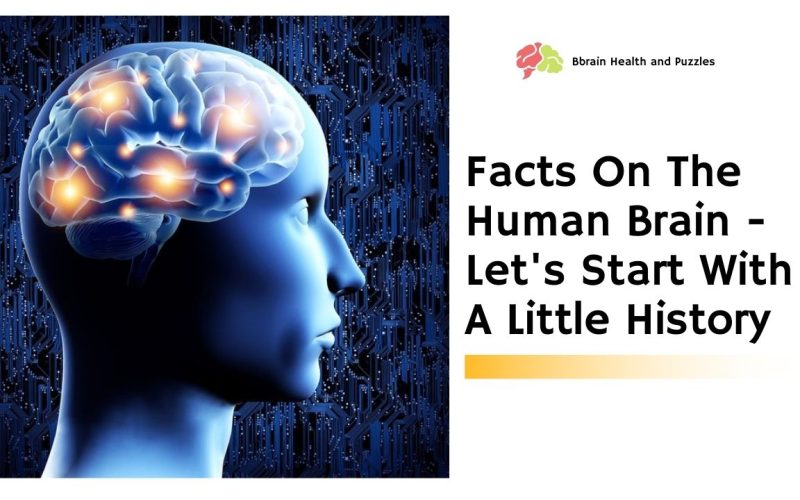 Facts On The Human Brain – Let’s Start With A Little History