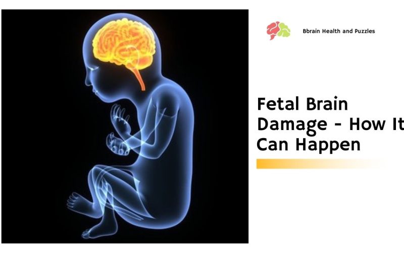 Fetal Brain Damage – How It Can Happen
