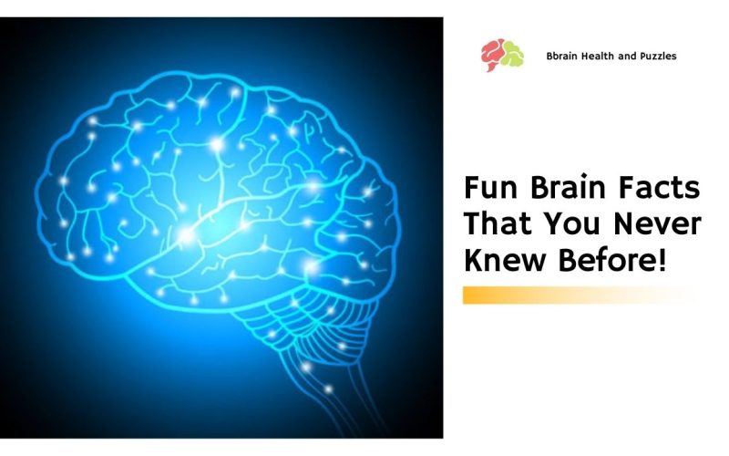 Fun Brain Facts That You Never Knew Before!