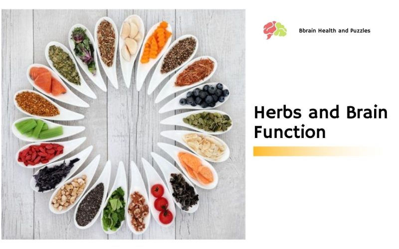 Herbs and Brain Function