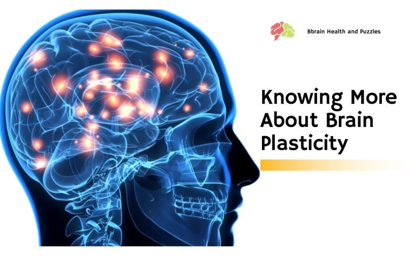 Knowing More About Brain Plasticity