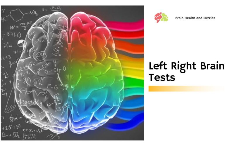 Left Right Brain Tests