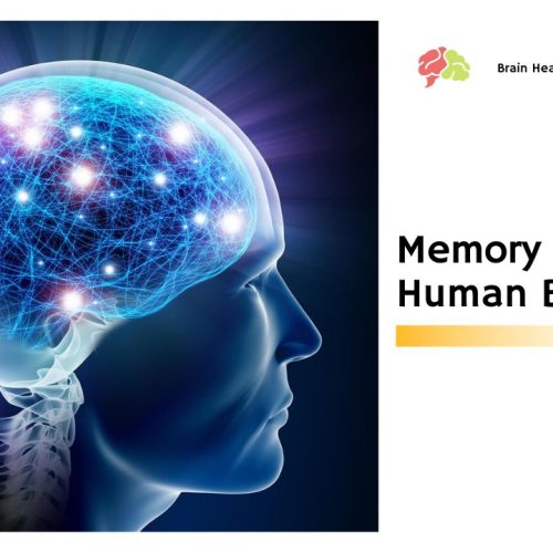 Memory Of The Human Brain