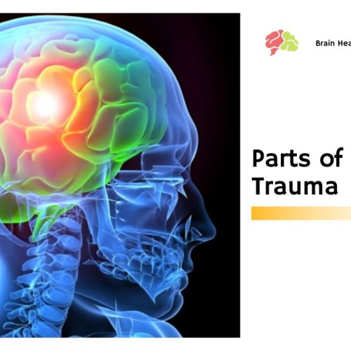 Parts of Brain Trauma