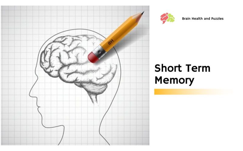 Knowing More About Short Term Memory