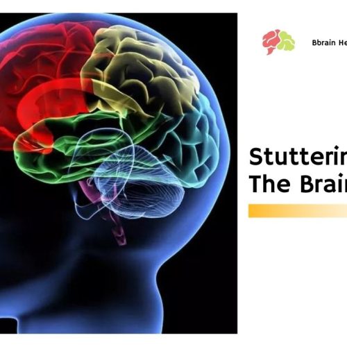 Stuttering And The Brain