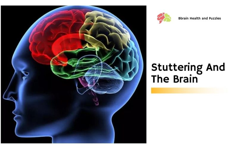Stuttering And The Brain