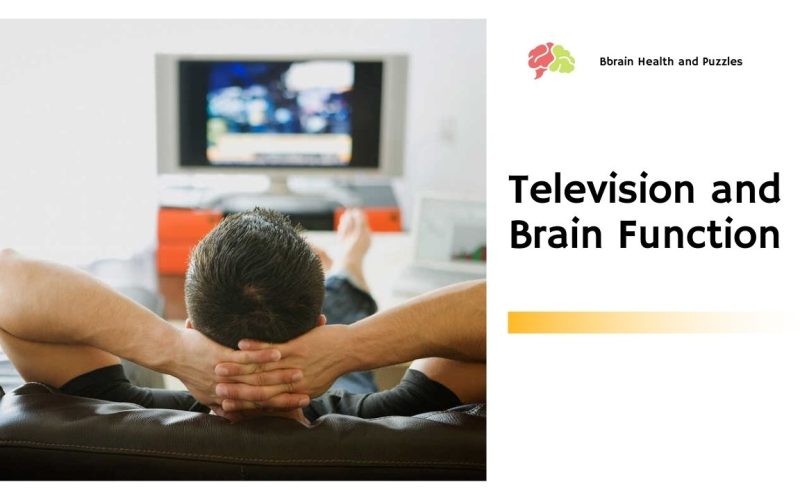 Television and Brain Function