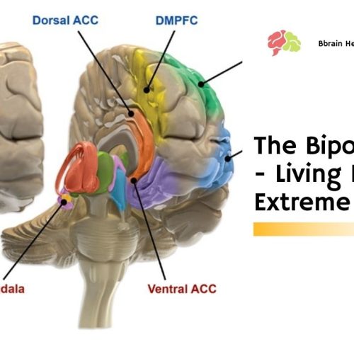 The Bipolar Brain – Living In Extreme Moods