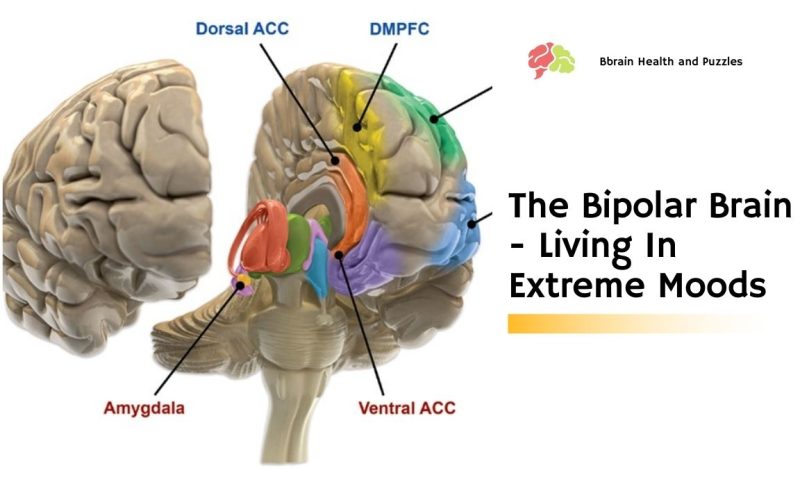 The Bipolar Brain – Living In Extreme Moods