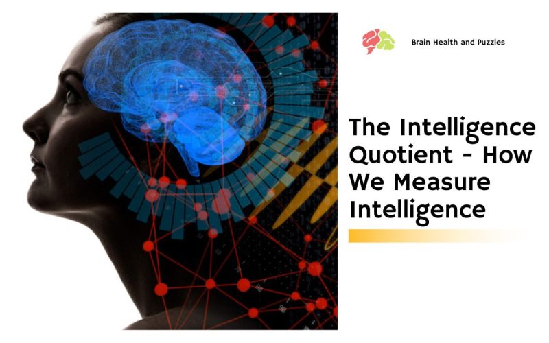 The Intelligence Quotient – How We Measure Intelligence
