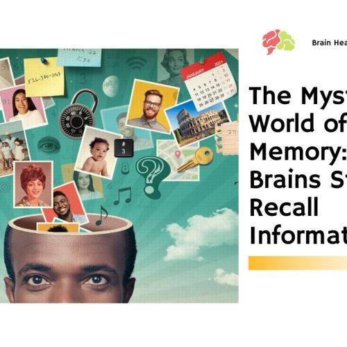 The Mysterious World of Human Memory: How Our Brains Store and Recall Information