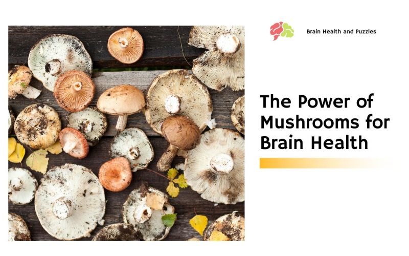 The Power of Mushrooms for Brain Health