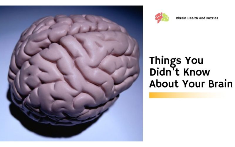 Top 6 Bizarre Things You Didn’t Know About Your Brain